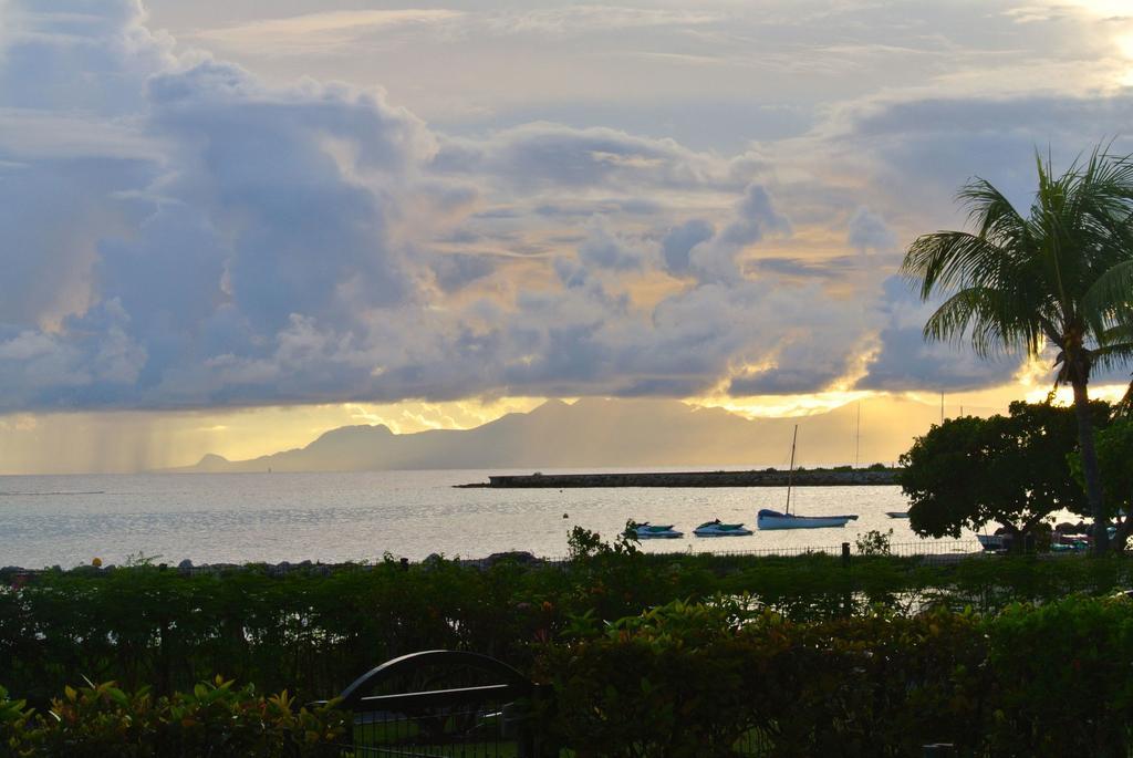 Savannah Guadeloupe Saint-Francois  Kültér fotó